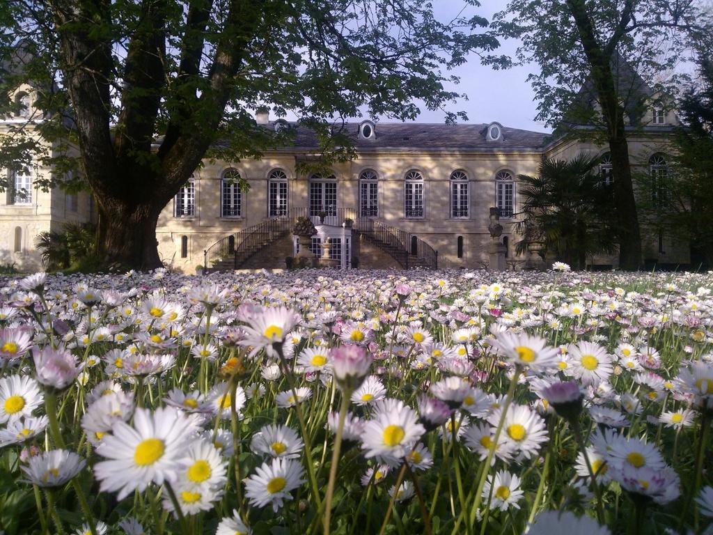 Chambres D'Hotes La Chartreuse Des Eyres Podensac Экстерьер фото